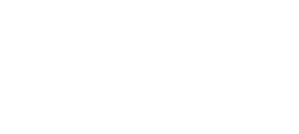 ESG regnskab Environment Social Governance